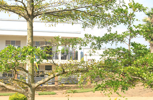 TCL is located in Nyundo/Rubavu